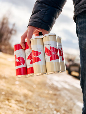 Métissage 2025 - Cidre pétillant